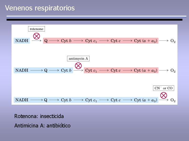 Venenos respiratorios Rotenona: insecticida Antimicina A: antibiótico 