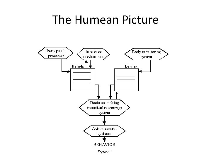 The Humean Picture 