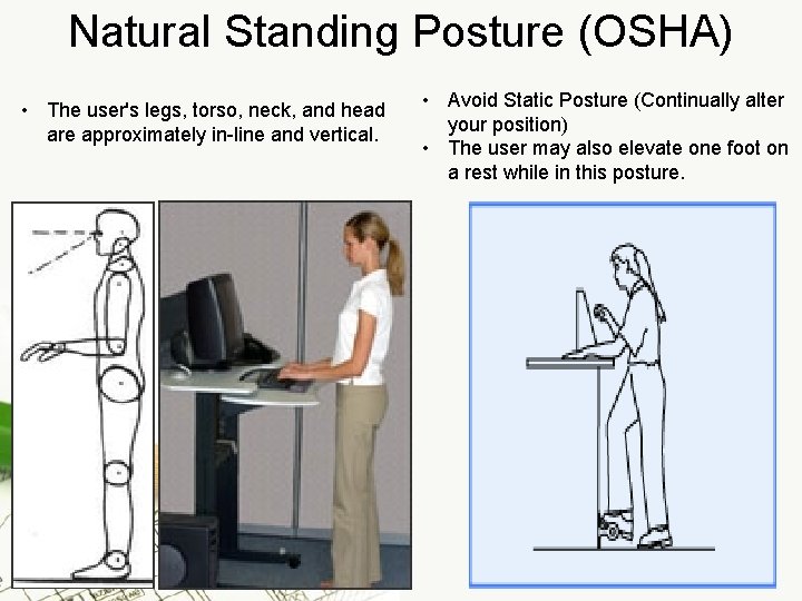 Natural Standing Posture (OSHA) • The user's legs, torso, neck, and head are approximately
