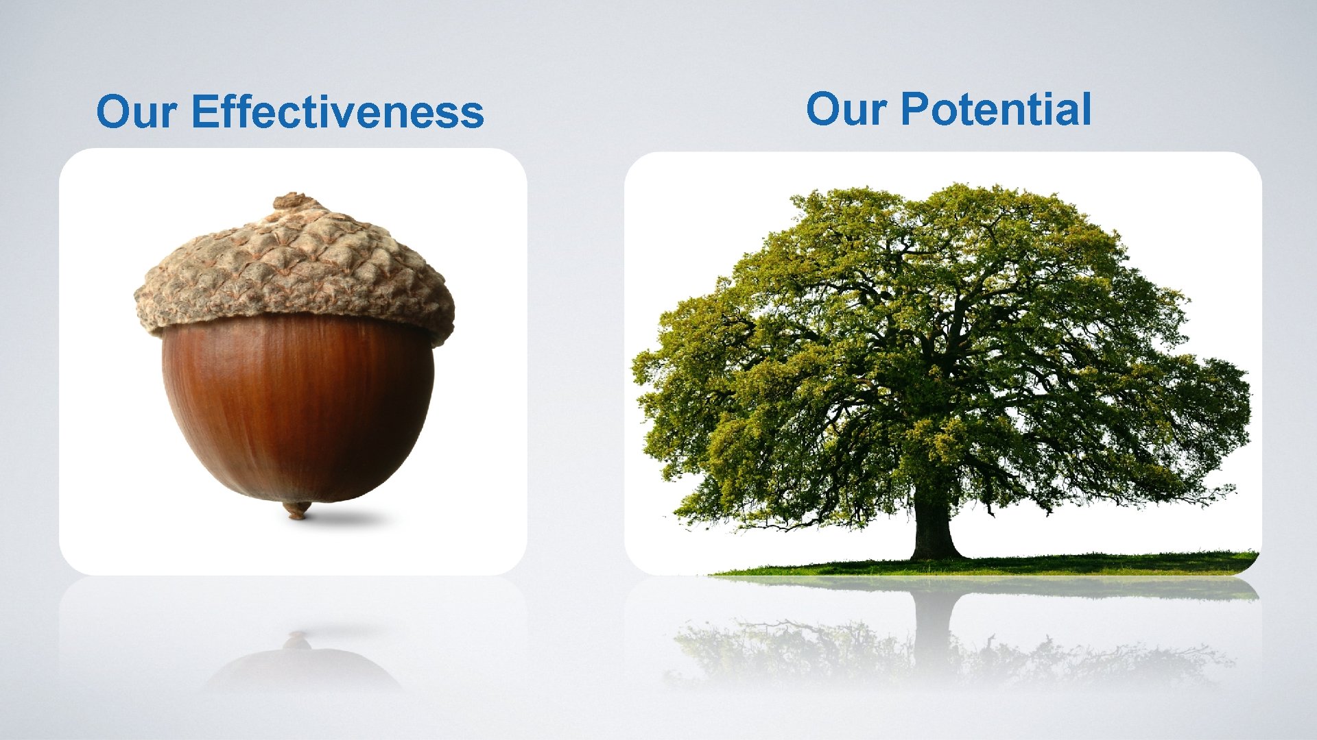 Our Effectiveness Our Potential 