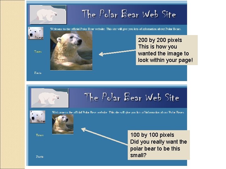 200 by 200 pixels This is how you wanted the image to look within 200 by 200 pixels This is how you wanted the image to look within