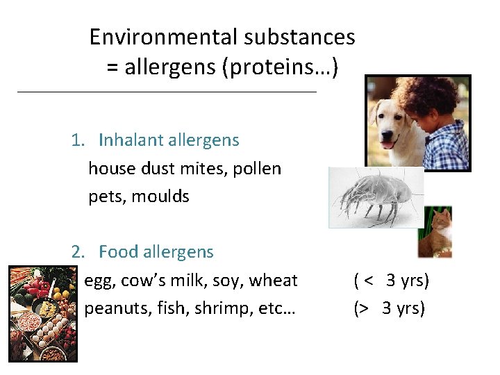 Environmental substances = allergens (proteins…) 1. Inhalant allergens house dust mites, pollen pets, moulds