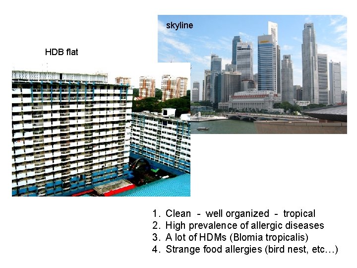 skyline HDB flat 1. 2. 3. 4. Clean - well organized - tropical High