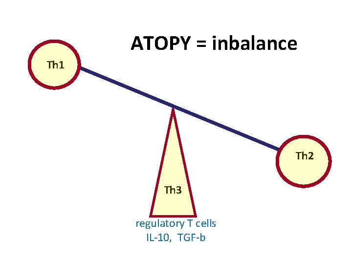 ATOPY = inbalance Th 1 Th 2 Th 3 regulatory T cells IL-10, TGF-b