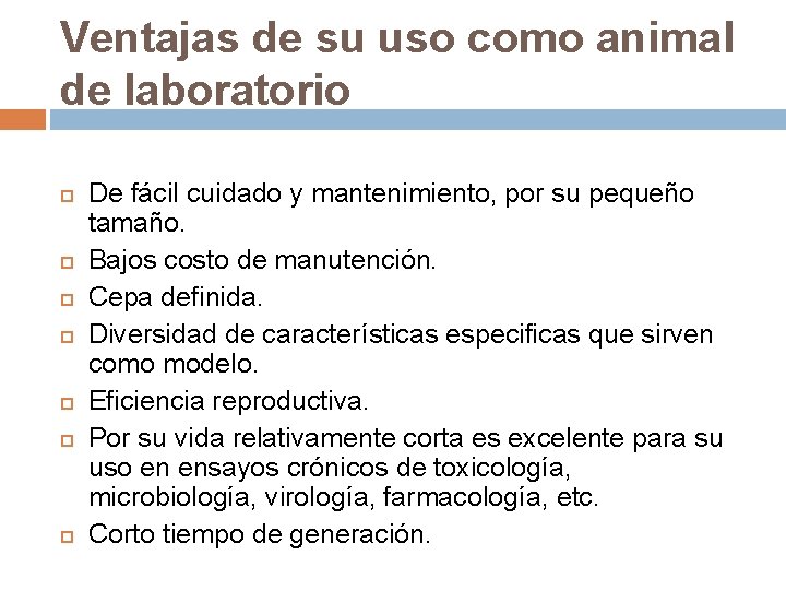 Ventajas de su uso como animal de laboratorio De fácil cuidado y mantenimiento, por