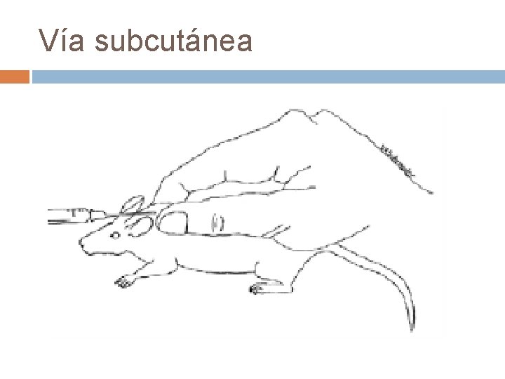 Vía subcutánea 