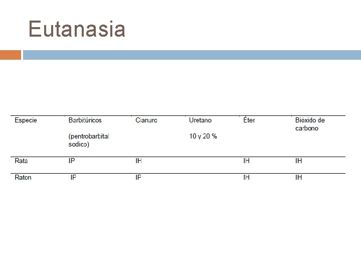 Eutanasia 