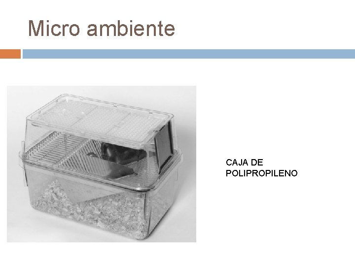 Micro ambiente CAJA DE POLIPROPILENO 