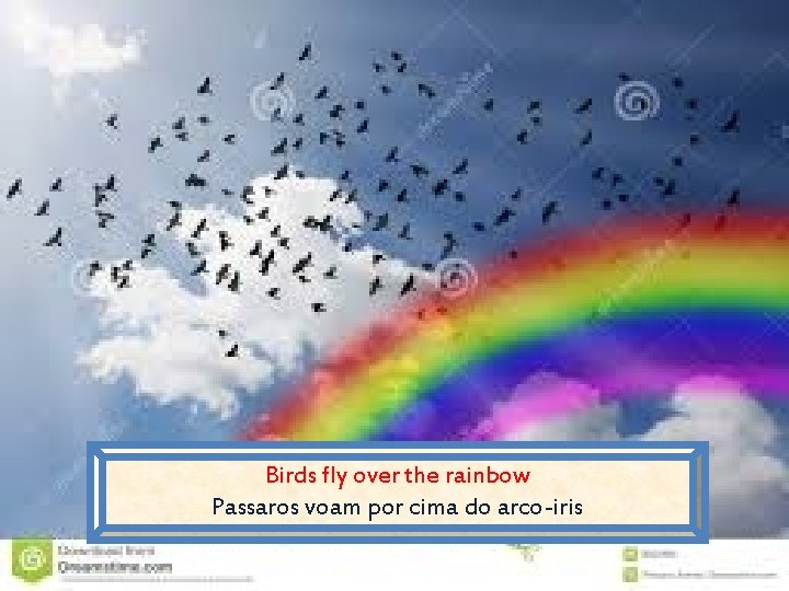 Birds fly over the rainbow Passaros voam por cima do arco-iris 