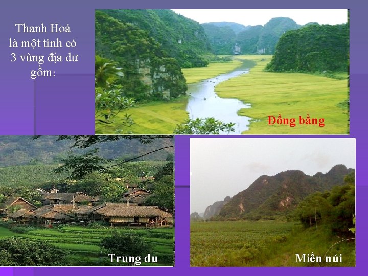 Thanh Hoá là một tỉnh có 3 vùng địa dư gồm: Đồng bằng Trung