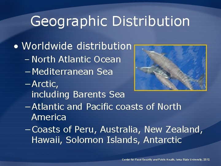 Geographic Distribution • Worldwide distribution – North Atlantic Ocean −Mediterranean Sea −Arctic, including Barents