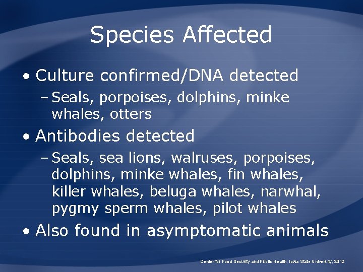 Species Affected • Culture confirmed/DNA detected – Seals, porpoises, dolphins, minke whales, otters •