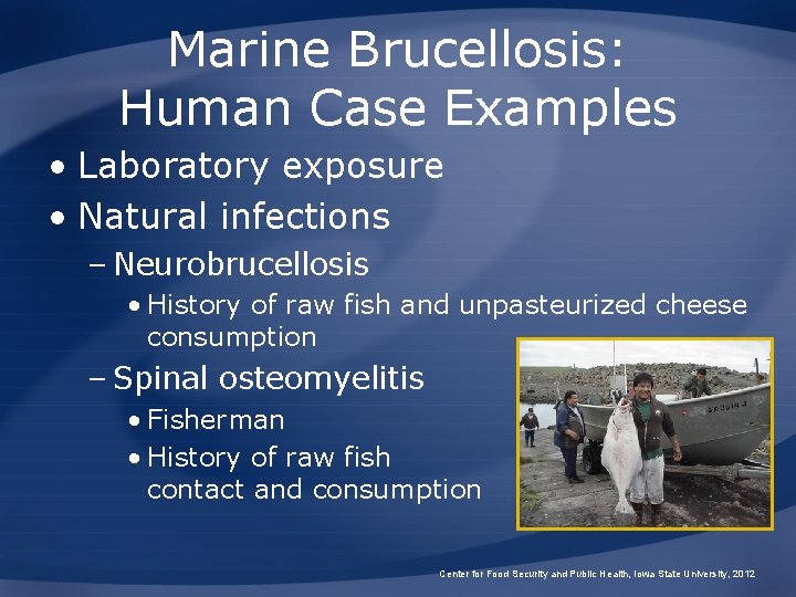 Marine Brucellosis: Human Case Examples • Laboratory exposure • Natural infections – Neurobrucellosis •