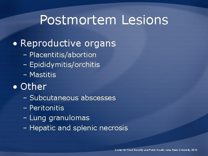 Postmortem Lesions • Reproductive organs – Placentitis/abortion – Epididymitis/orchitis – Mastitis • Other –