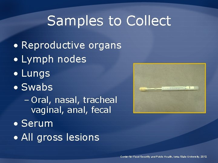 Samples to Collect • Reproductive organs • Lymph nodes • Lungs • Swabs –