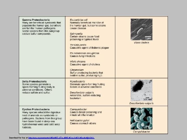 Download for free at http: //cnx. org/contents/185 cbf 87 -c 72 e-48 f 5