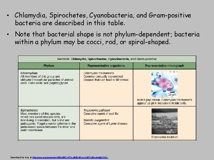  • Chlamydia, Spirochetes, Cyanobacteria, and Gram-positive bacteria are described in this table. •