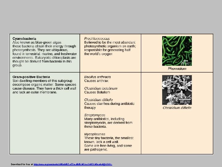 Download for free at http: //cnx. org/contents/185 cbf 87 -c 72 e-48 f 5
