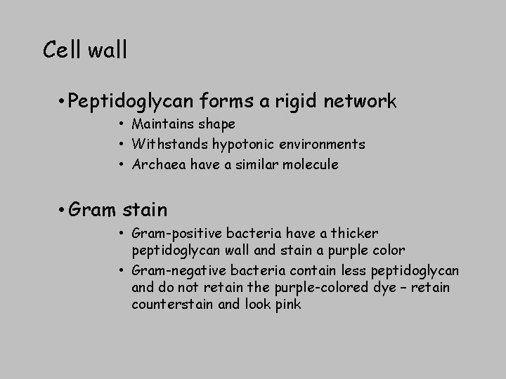 Cell wall • Peptidoglycan forms a rigid network • Maintains shape • Withstands hypotonic