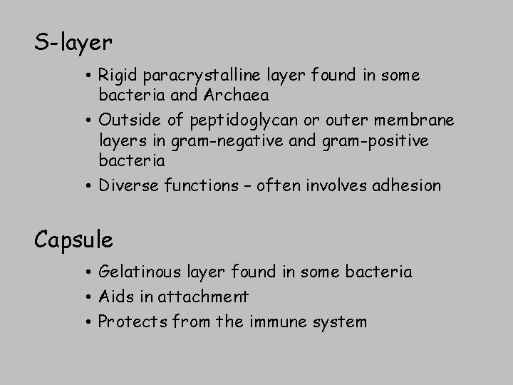 S-layer • Rigid paracrystalline layer found in some bacteria and Archaea • Outside of