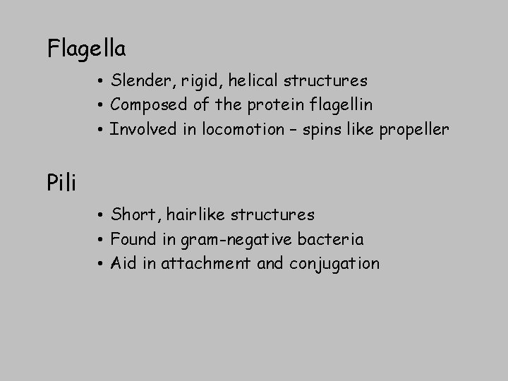 Flagella • Slender, rigid, helical structures • Composed of the protein flagellin • Involved
