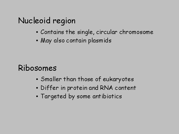 Nucleoid region • Contains the single, circular chromosome • May also contain plasmids Ribosomes