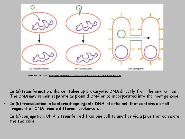 Download for free at http: //cnx. org/contents/185 cbf 87 -c 72 e-48 f 5