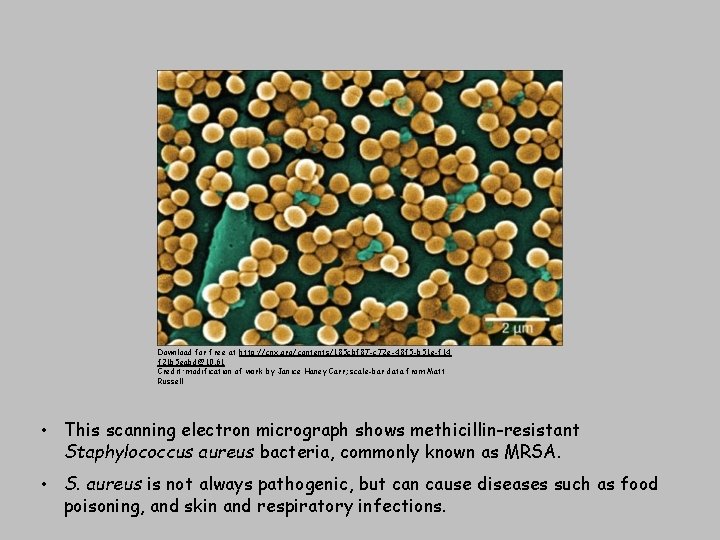 Download for free at http: //cnx. org/contents/185 cbf 87 -c 72 e-48 f 5