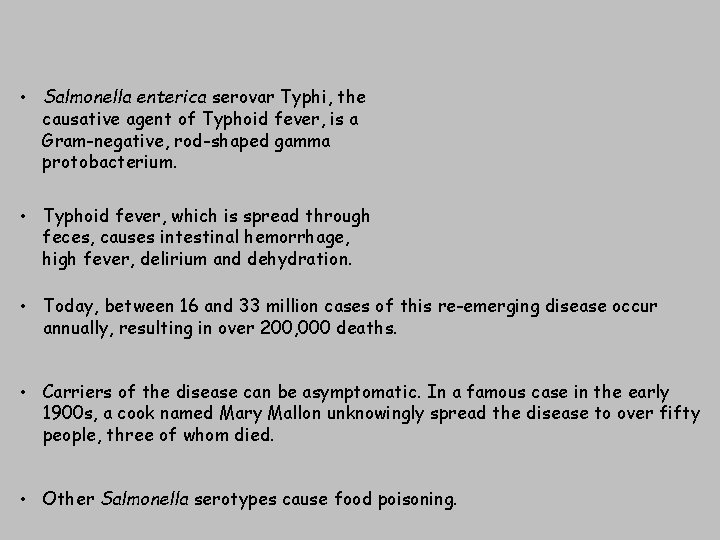  • Salmonella enterica serovar Typhi, the causative agent of Typhoid fever, is a