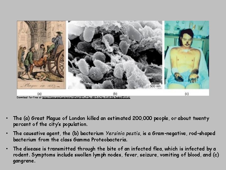 Download for free at http: //cnx. org/contents/185 cbf 87 -c 72 e-48 f 5