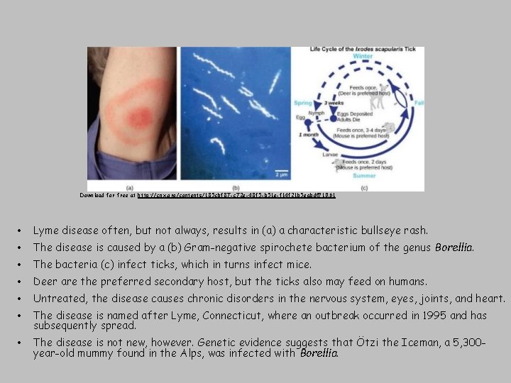 Download for free at http: //cnx. org/contents/185 cbf 87 -c 72 e-48 f 5