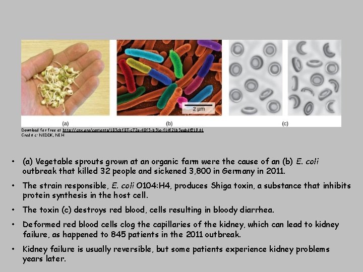 Download for free at http: //cnx. org/contents/185 cbf 87 -c 72 e-48 f 5