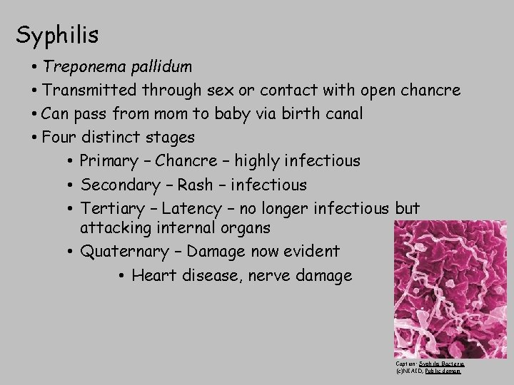 Syphilis • Treponema pallidum • Transmitted through sex or contact with open chancre •