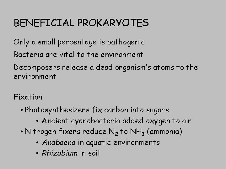 BENEFICIAL PROKARYOTES Only a small percentage is pathogenic Bacteria are vital to the environment