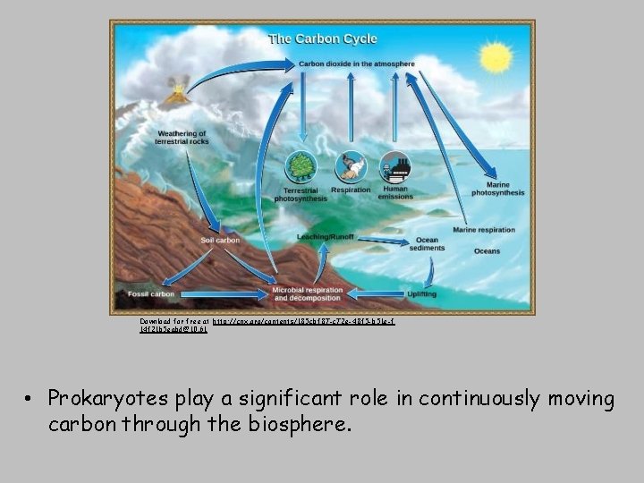 Download for free at http: //cnx. org/contents/185 cbf 87 -c 72 e-48 f 5