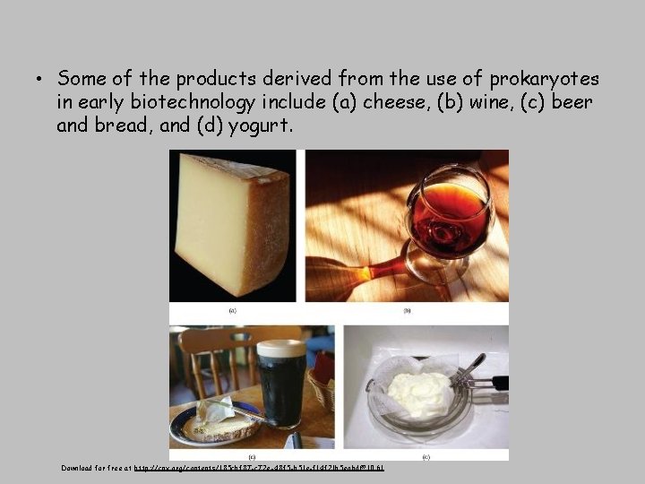  • Some of the products derived from the use of prokaryotes in early
