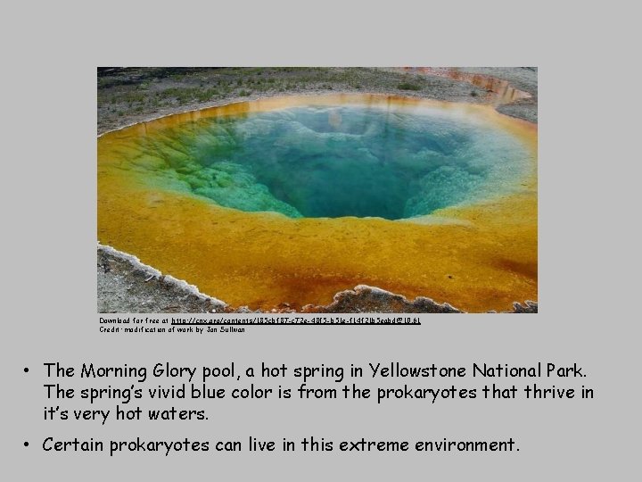 Download for free at http: //cnx. org/contents/185 cbf 87 -c 72 e-48 f 5