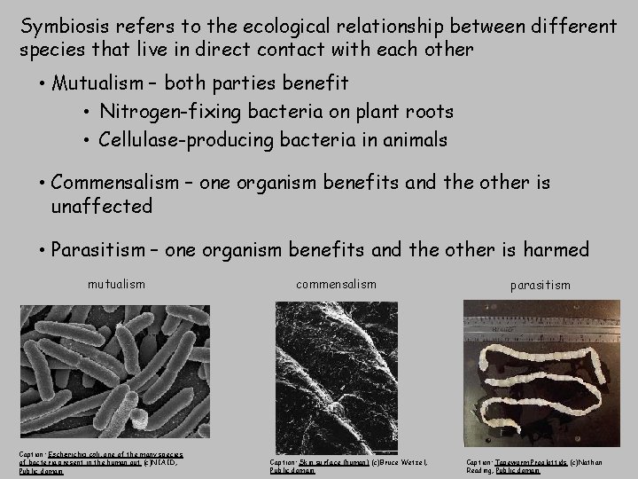 Symbiosis refers to the ecological relationship between different species that live in direct contact