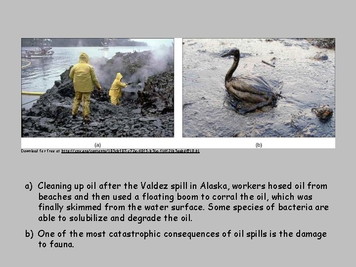 Download for free at http: //cnx. org/contents/185 cbf 87 -c 72 e-48 f 5