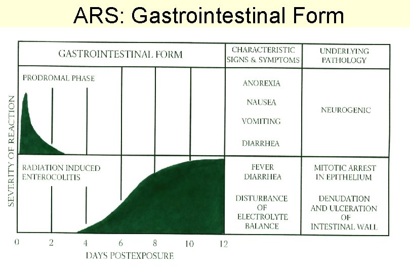 ARS: Gastrointestinal Form 38 -D 