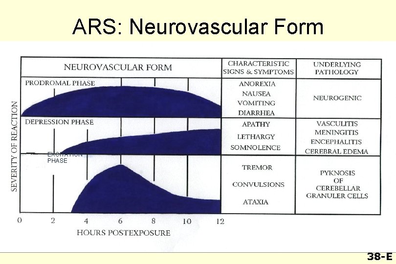ARS: Neurovascular Form EXCITATION PHASE 38 -E 
