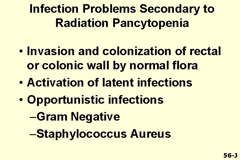 Infection Problems Secondary to Radiation Pancytopenia • Invasion and colonization of rectal or colonic