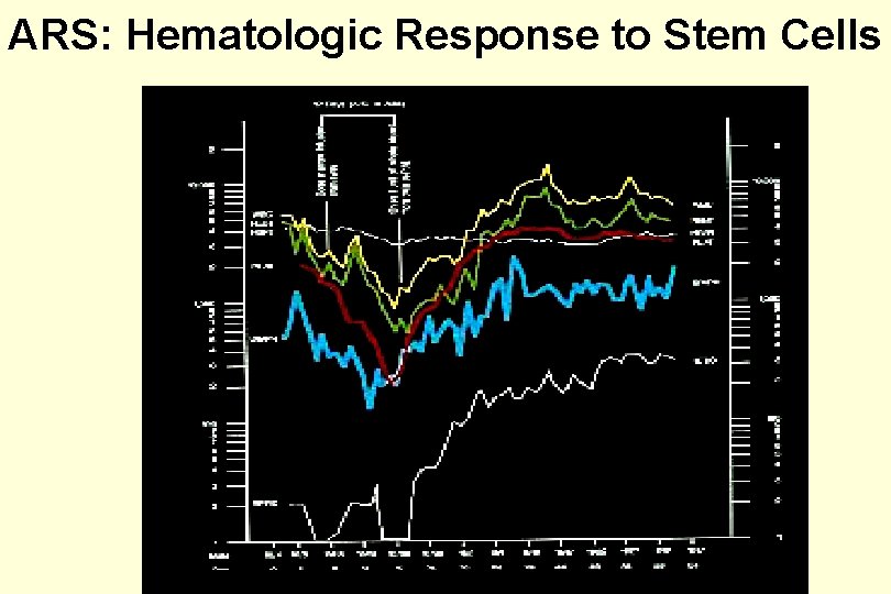 ARS: Hematologic Response to Stem Cells 
