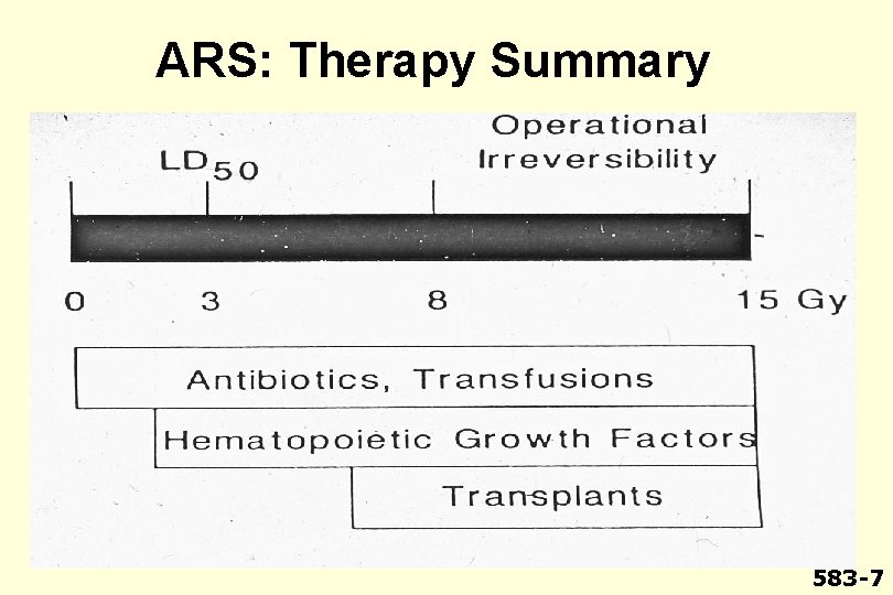 ARS: Therapy Summary 583 -7 