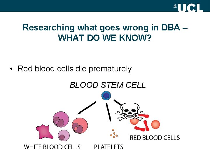 Researching what goes wrong in DBA – WHAT DO WE KNOW? • Red blood