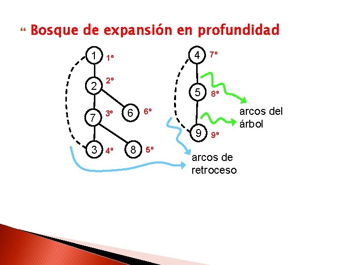  Bosque de expansión en profundidad 1 1º 2 2º 7 3º 6 4