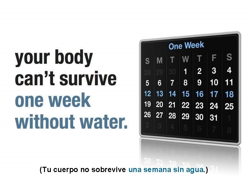 (Tu cuerpo no sobrevive una semana sin agua. ) 