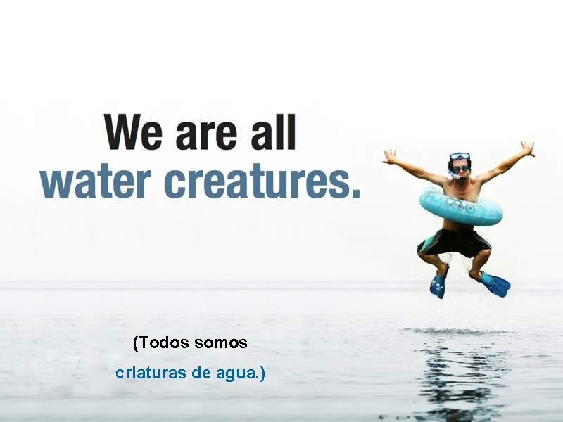 (Todos somos criaturas de agua. ) 