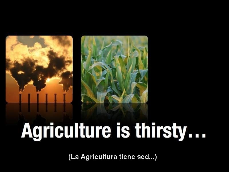 (La Agricultura tiene sed. . . ) 