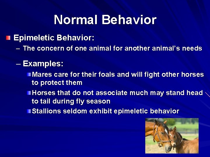 Normal Behavior Epimeletic Behavior: – The concern of one animal for another animal’s needs